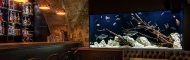 Luxury aquariums